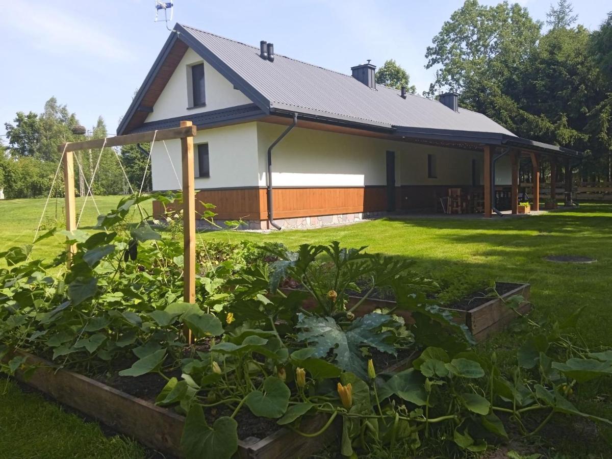 Ferienwohnung Siedlisko Czarny Dzieciol Narewka Exterior foto